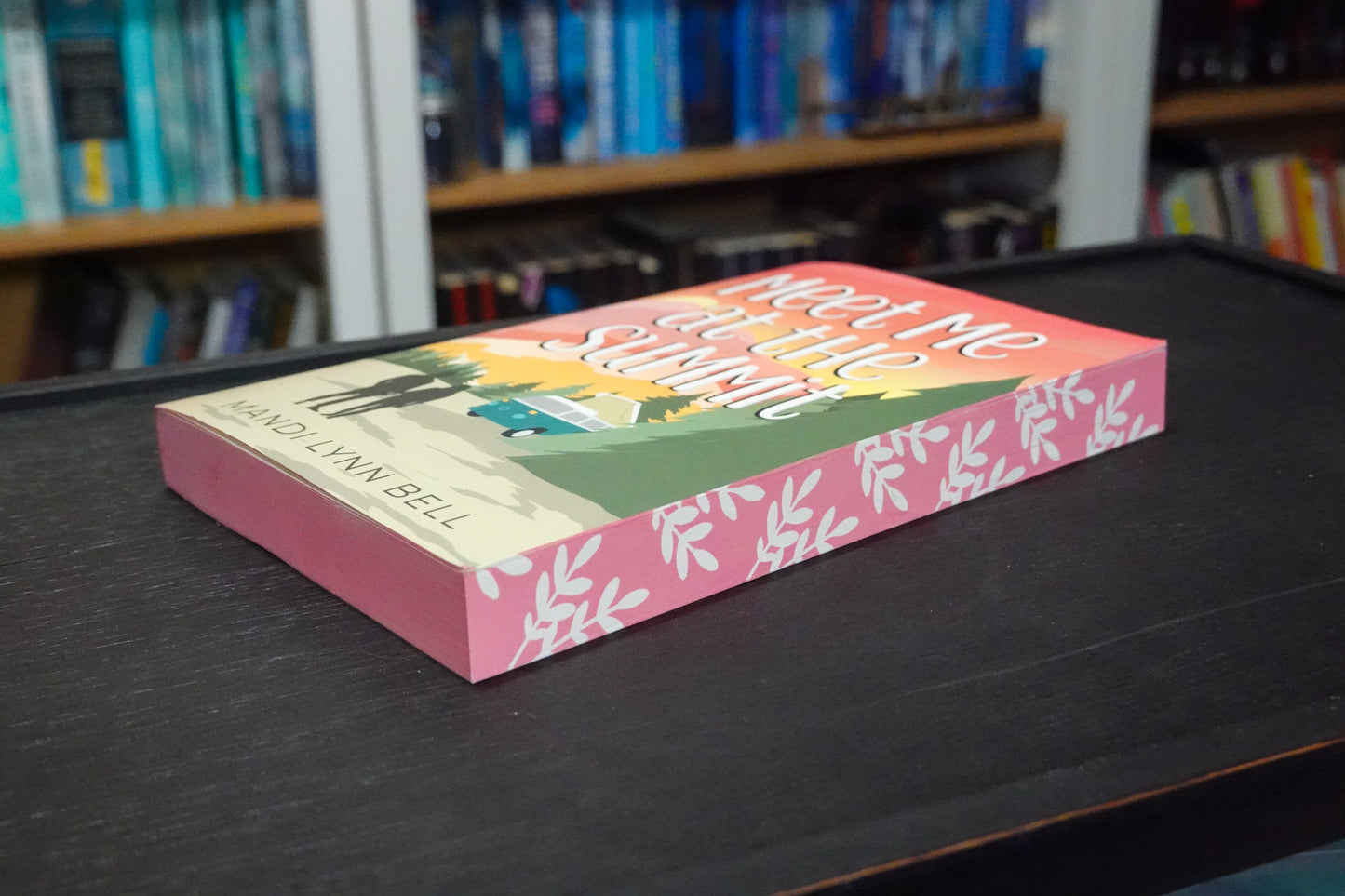 Sprayed Edge Special Editions: The Road Trip Snapshot Series *signed*